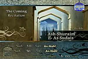 quran translation
