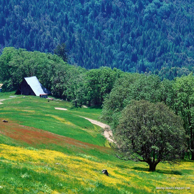 Recitarea Surei Prisosința